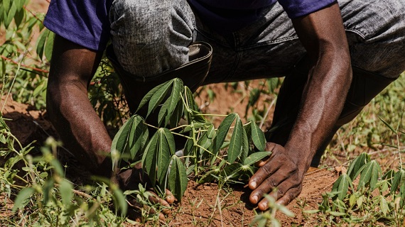 AGRO INDUSTRY